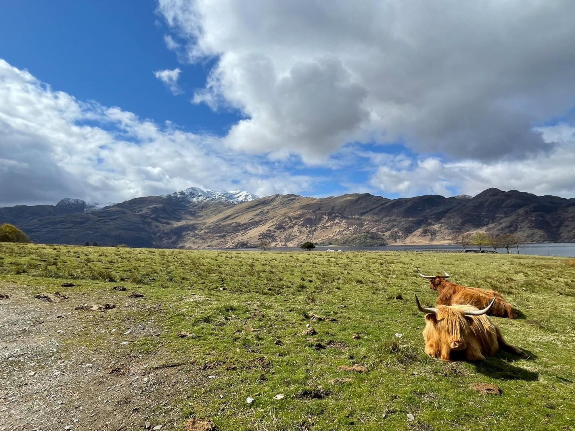 Sheenas Butnben Arnisdale Exteriör bild